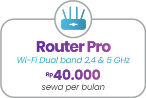 imgi_7_addon-Packages-JUN21-inet3-300x201-1