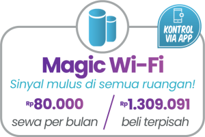 imgi_9_addon-Packages-JUN21-inet1-300x201-1